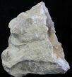 Sparkling Keokuk Quartz Geode (Half) #33956-3